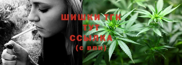 гашик Алексеевка