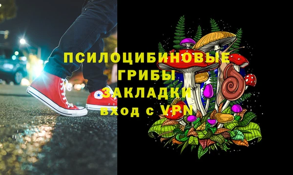 экстази Алексин